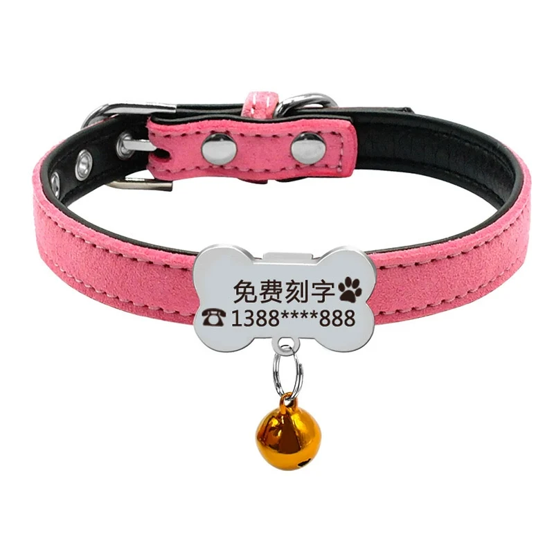 Teddy Laser Bichon Schnauzer Minlature Pinscher Collar