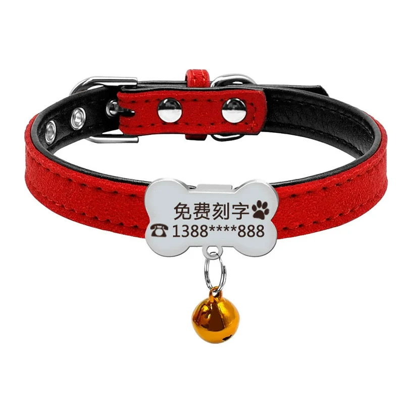 Teddy Laser Bichon Schnauzer Minlature Pinscher Collar