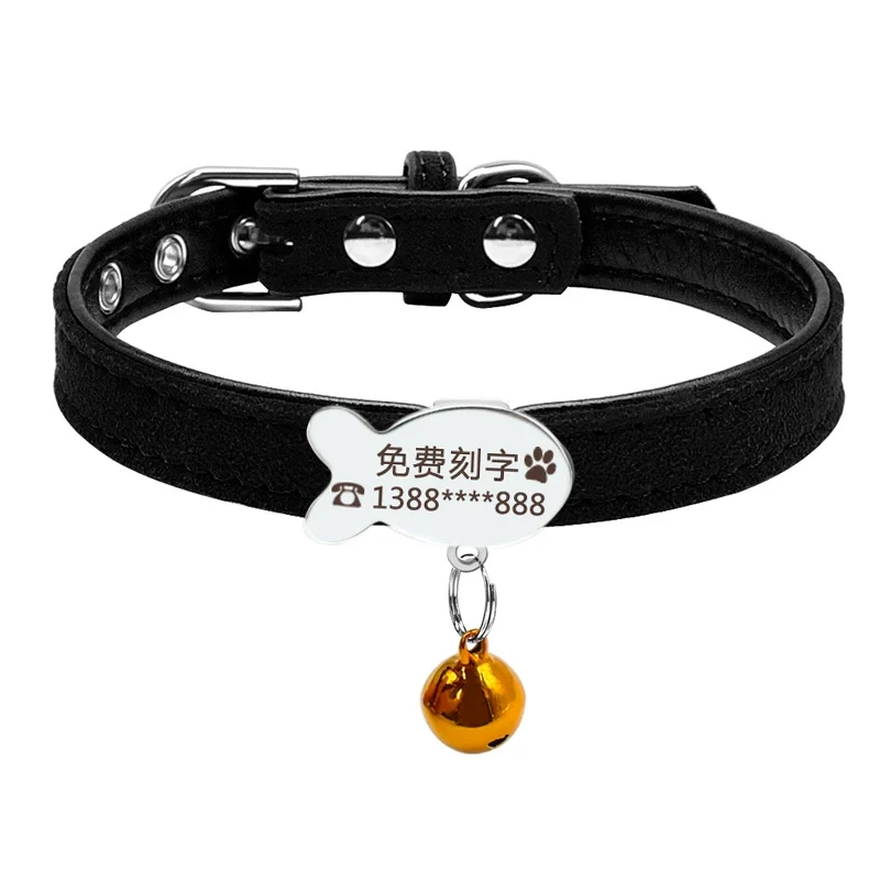 Teddy Laser Bichon Schnauzer Minlature Pinscher Collar