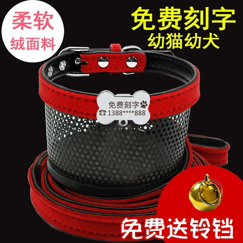 Teddy Laser Bichon Schnauzer Minlature Pinscher Collar