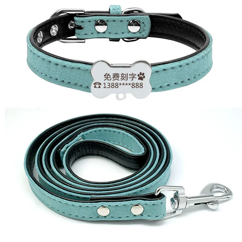 Teddy Laser Bichon Schnauzer Minlature Pinscher Collar