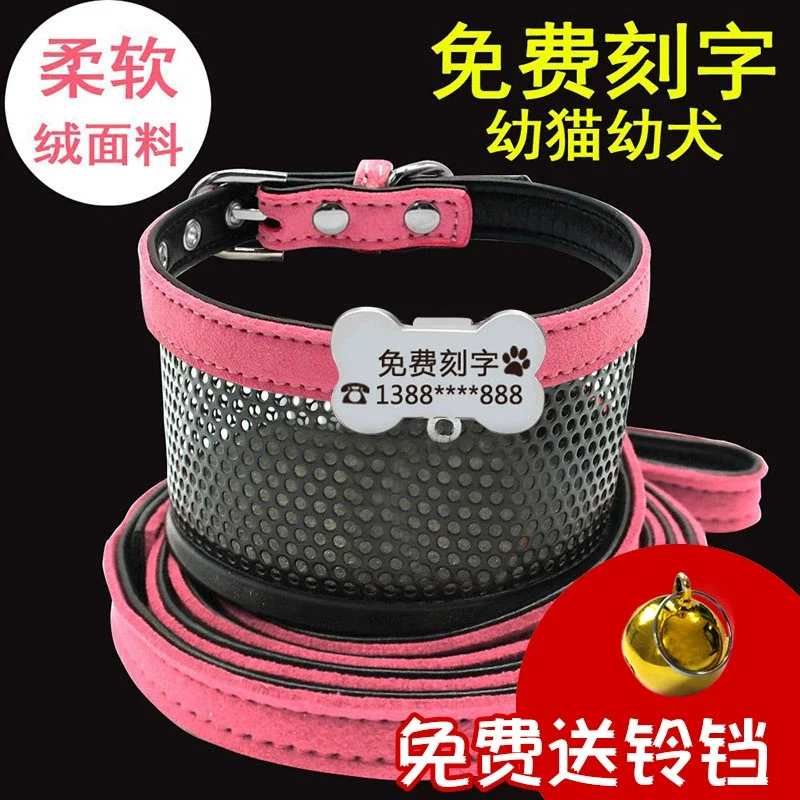 Teddy Laser Bichon Schnauzer Minlature Pinscher Collar