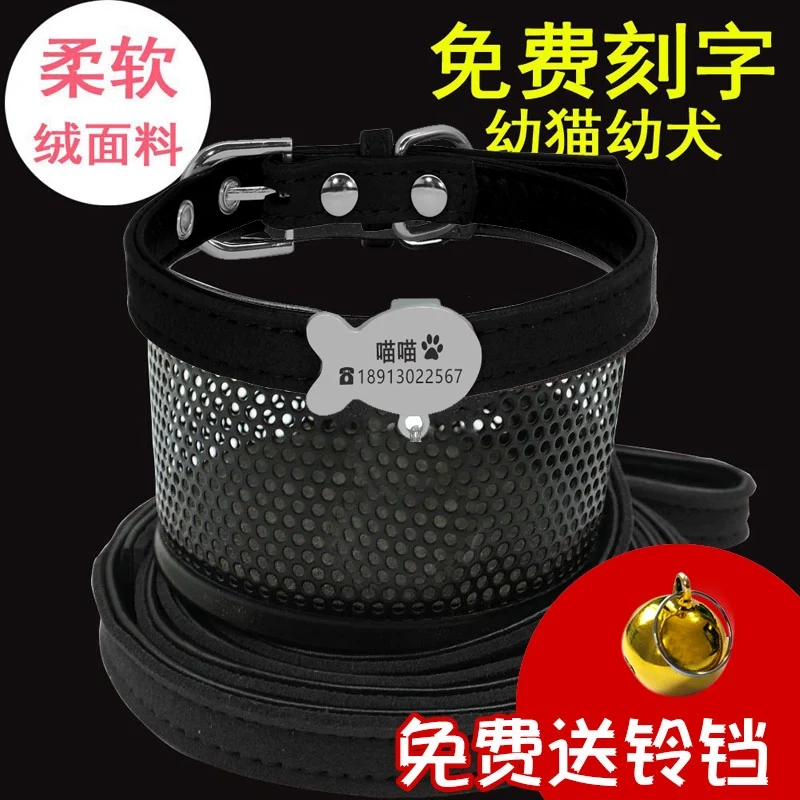 Teddy Laser Bichon Schnauzer Minlature Pinscher Collar