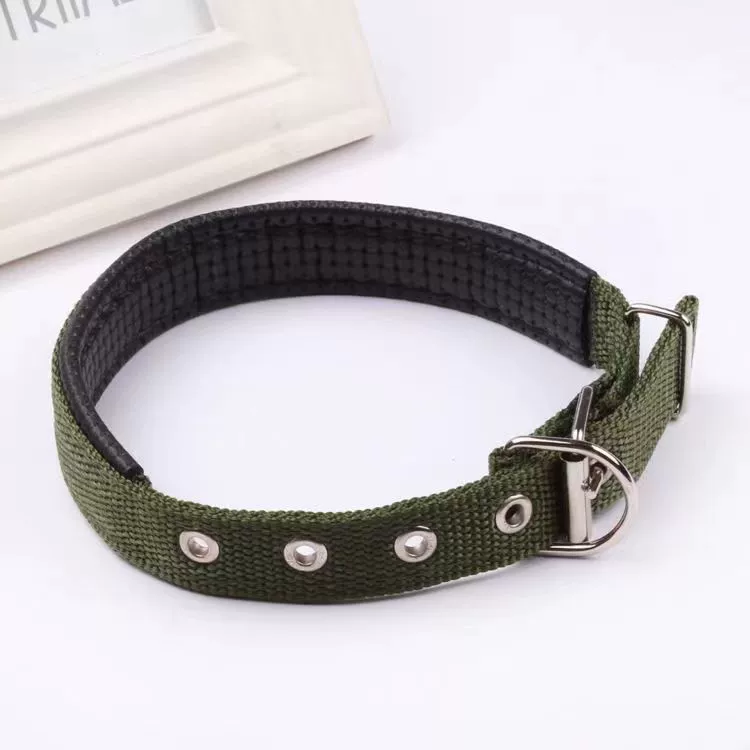 Dog Luminous Collar Dog Luminous Dog Collar Collar Pet Night Light Fluorescent Dog Reflective for Walking Dog at Night