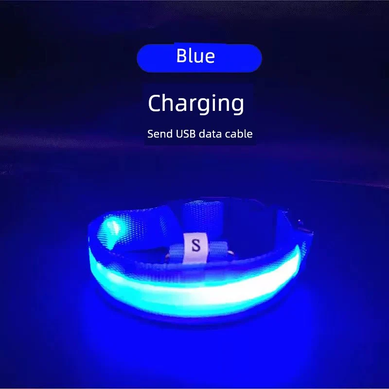 Dog Luminous Collar Dog Luminous Dog Collar Collar Pet Night Light Fluorescent Dog Reflective for Walking Dog at Night