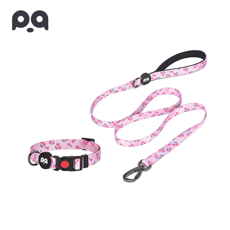 Fiber Pet Supplies Dog Collar Hand Holding Rope Teddy Dog Leash Jarre Aero Bull Corgi Small and Medium-Sized Dogs Dog Leash Traction Belt