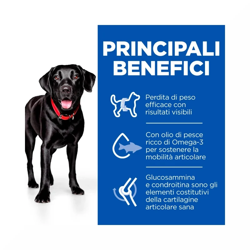 Hill's Science Plan Perfect Weight & Active Mobility Adult Crocchette Con Pollo Per Cani Taglia Grande Sacco 12 Kg