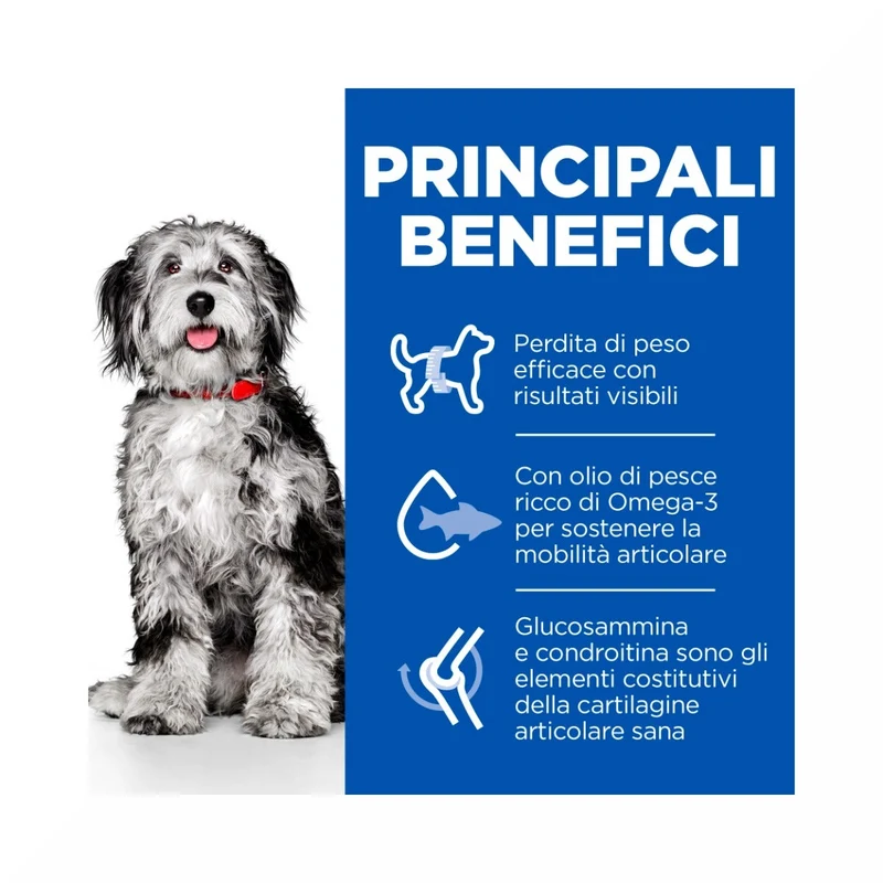 Hill's Science Plan Perfect Weight & Active Mobility Adult Crocchette Con Pollo Per Cani Taglia Media Sacco 12 Kg