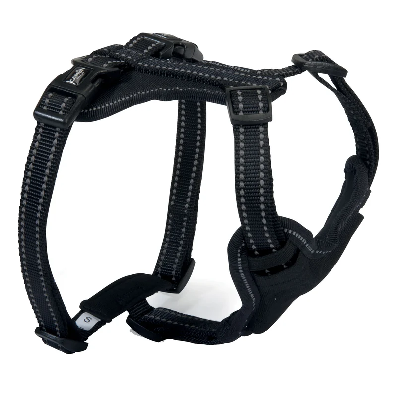 Camon Pettorina in Neoprene con 5 Regolazioni - 57/71 cm Nera