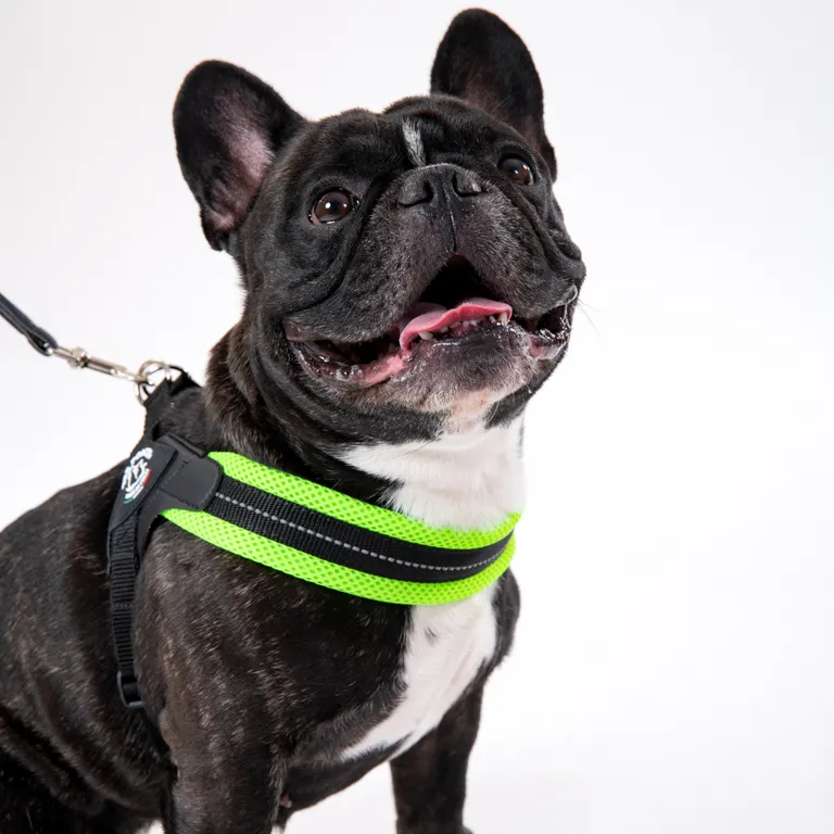 Tre Ponti Easy Fit Mesh Verde Fluo Taglia 1