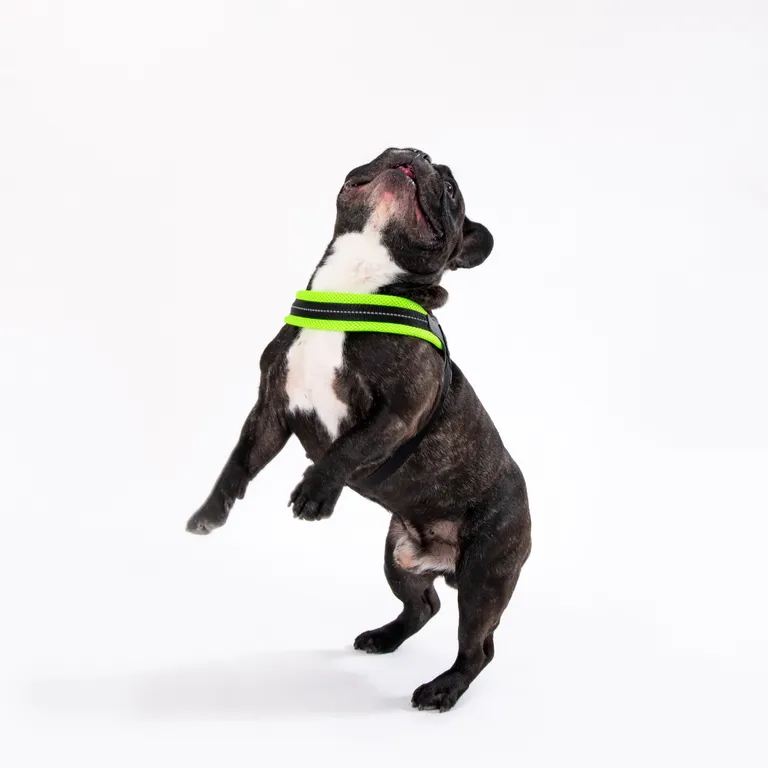 Tre Ponti Easy Fit Mesh Verde Fluo Taglia 3