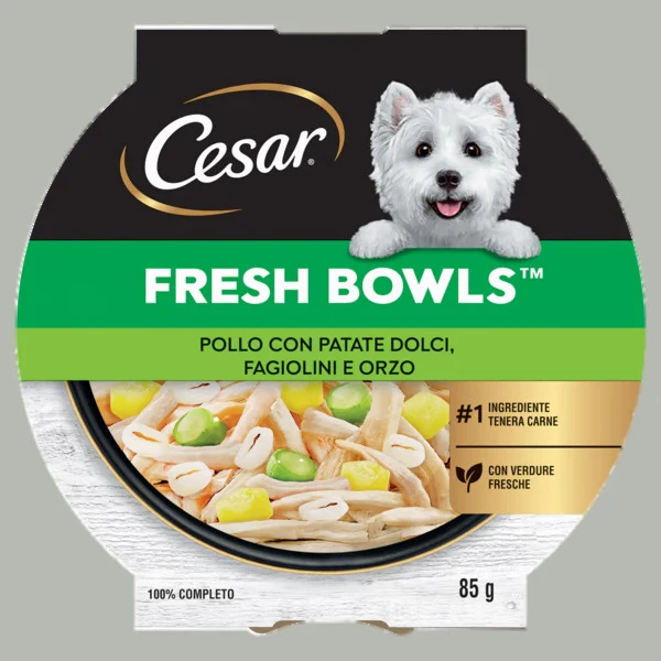Cesar Fresh Bowls Pollo Patate Dolci Fagiolini Orzo 85 g - Umido Cani