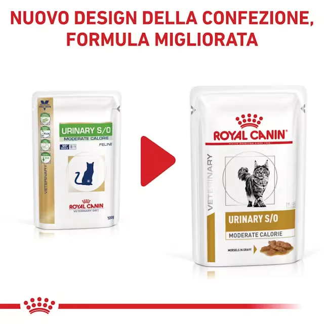 24x85g Royal Canin Urinary S/O Moderate Calorie Straccetti in Salsa