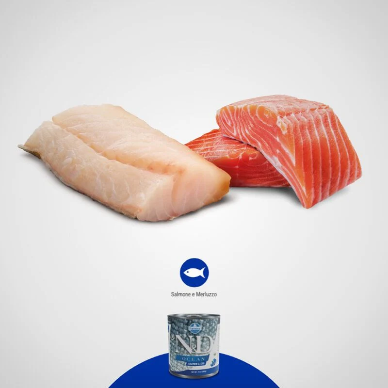 Farmina N&D Ocean Mini Salmone e Merluzzo 140g - Umido Cane