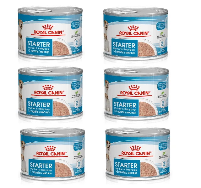 6x195g Royal Canin Starter Mousse Mother & Babydog