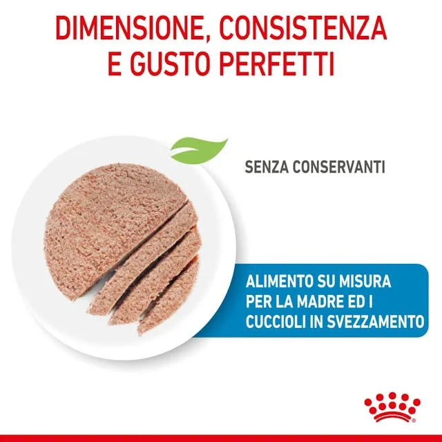 6x195g Royal Canin Starter Mousse Mother & Babydog