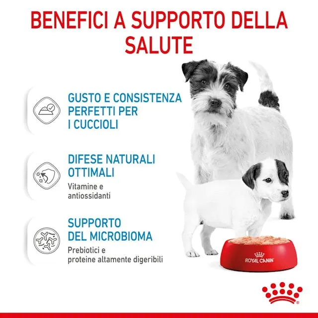 6x195g Royal Canin Starter Mousse Mother & Babydog