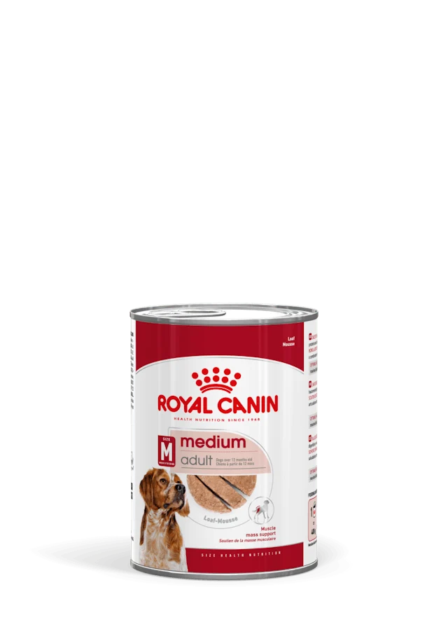 Royal Canin Medium Adult Paté 410 g – Alimento Umido per Cani Adulti