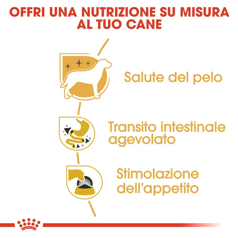 48x85g Royal Canin Chihuahua - Cibo Umido per Cani