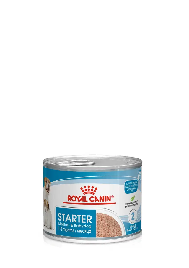 24x195g Royal Canin Starter Mousse Alimento Umido Cane Cucciolo