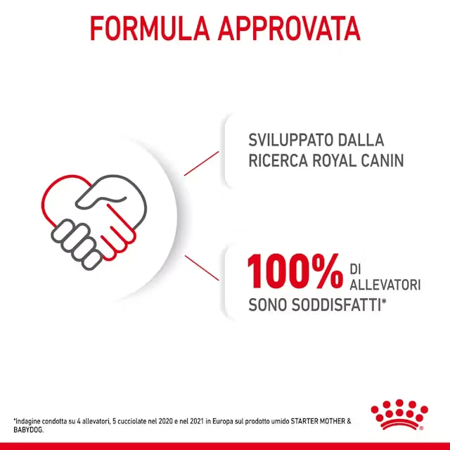 24x195g Royal Canin Starter Mousse Alimento Umido Cane Cucciolo