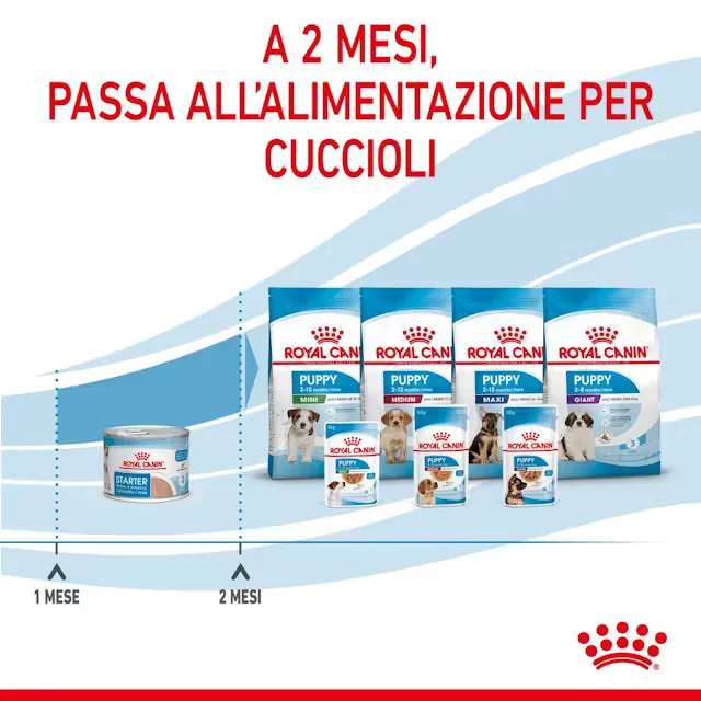24x195g Royal Canin Starter Mousse Alimento Umido Cane Cucciolo