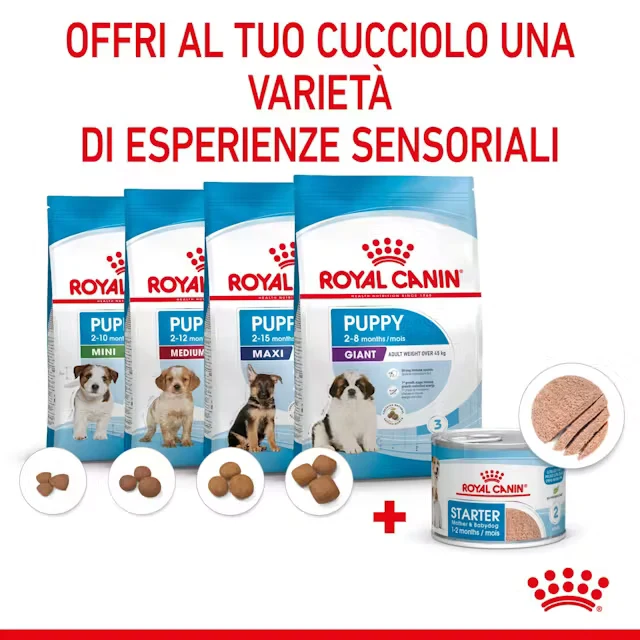 24x195g Royal Canin Starter Mousse Alimento Umido Cane Cucciolo
