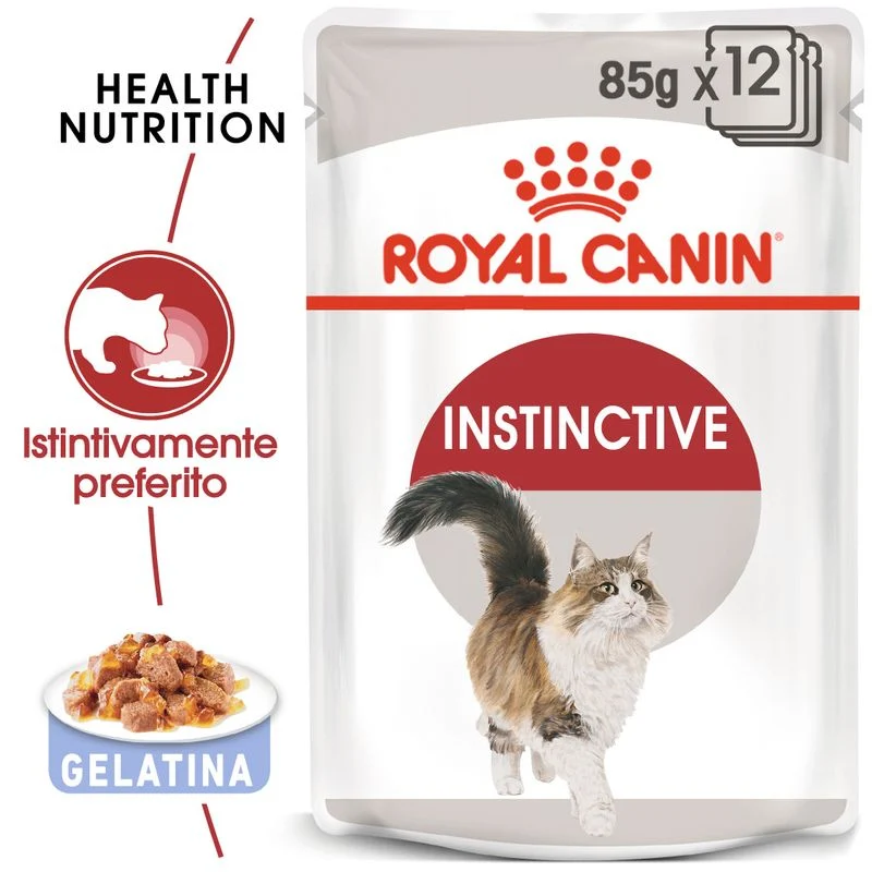 Royal Canin Instinctive Umido in Gelatina per Gatti 12x85g
