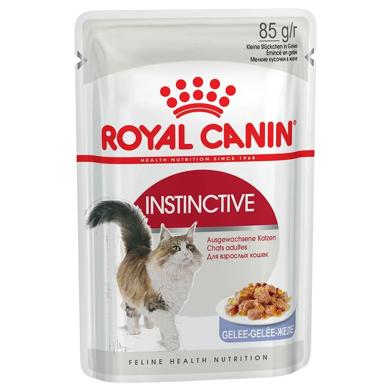 Royal Canin Instinctive Umido in Gelatina per Gatti 12x85g