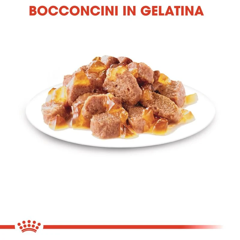 Royal Canin Instinctive Umido in Gelatina per Gatti 12x85g