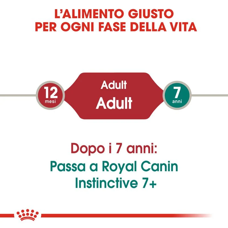 Royal Canin Instinctive Umido in Gelatina per Gatti 12x85g