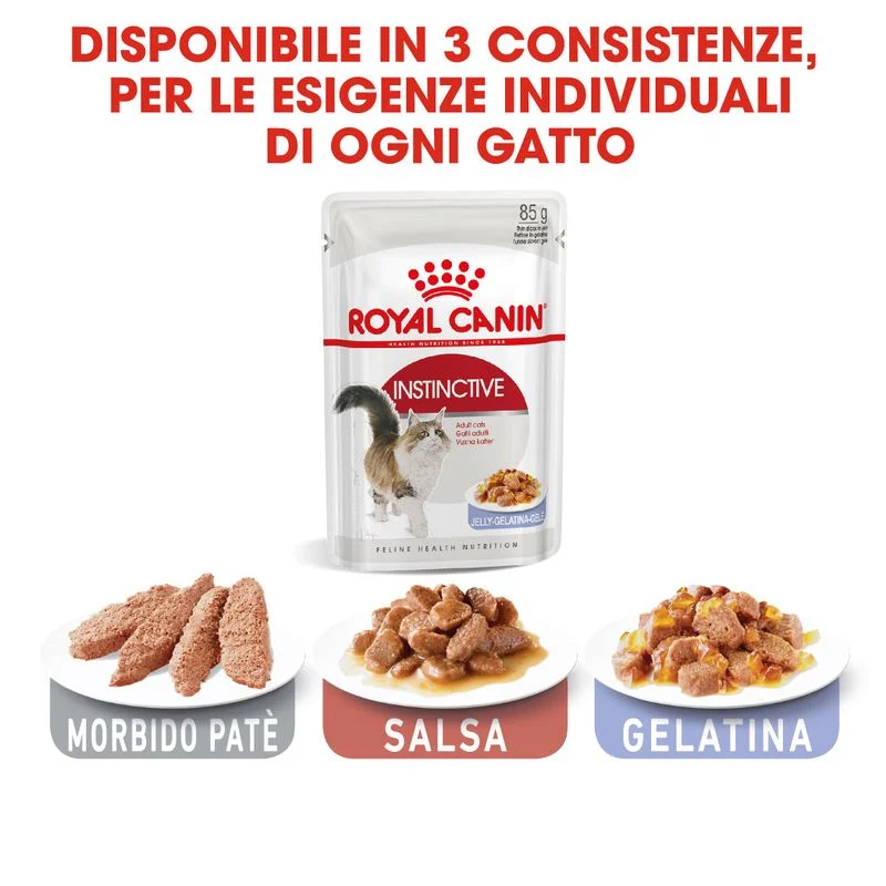 Royal Canin Instinctive Umido in Gelatina per Gatti 12x85g