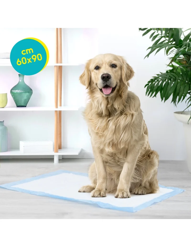 400 Tappetini Igienici per Cani - Record Tapiss 60X90cm