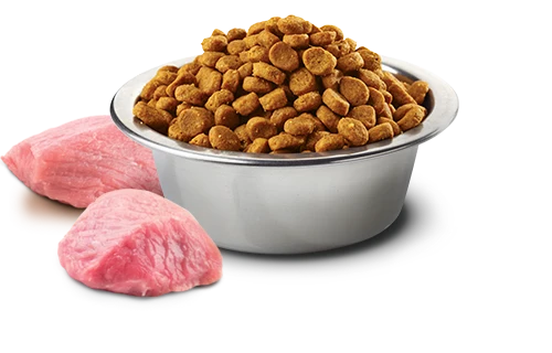 Farmina N&D Prime Kitten Pollo e Melograno 300g Crocchette per Gatti Cuccioli