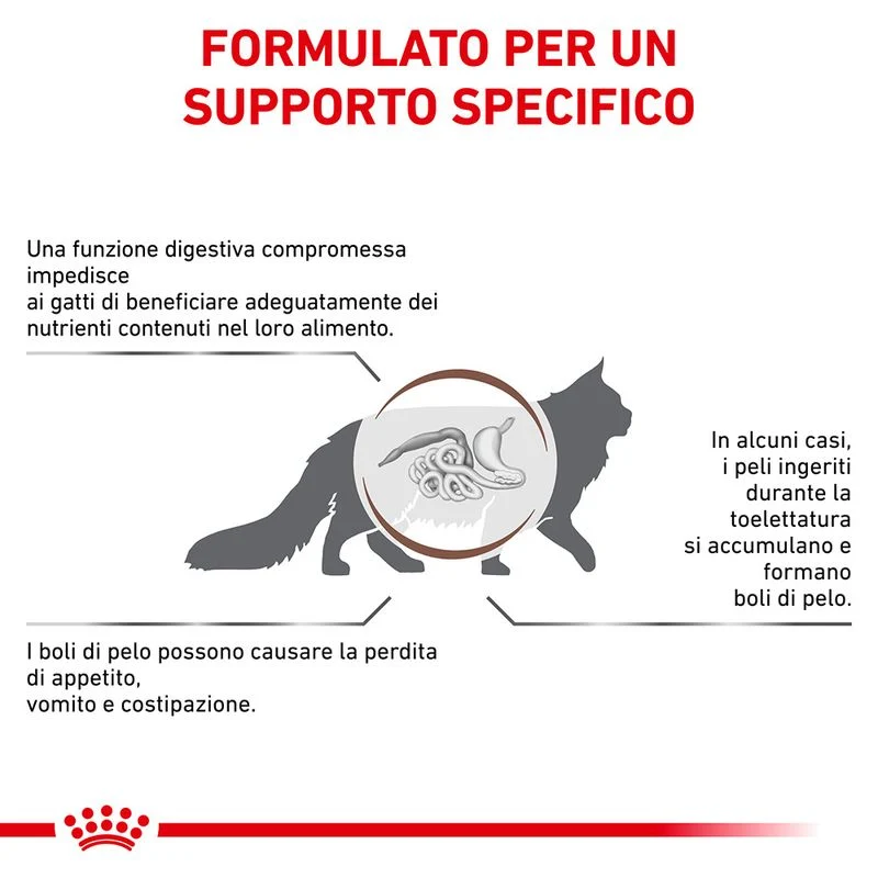 Royal Canin Gastrointestinal Hairball 2kg
