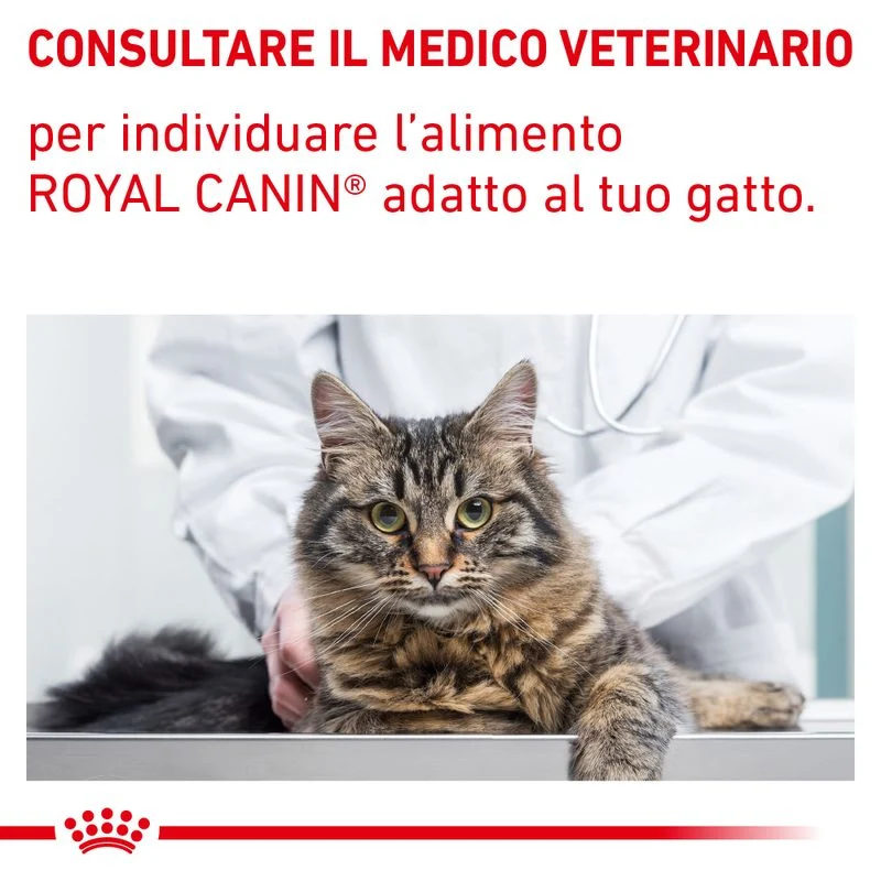 Royal Canin Gastrointestinal Hairball 2kg