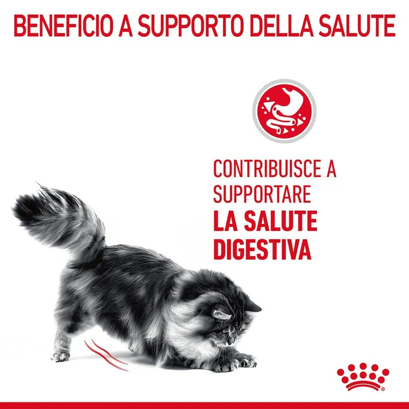 Royal Canin Digestive Care 400g - Crocchette per Gatti