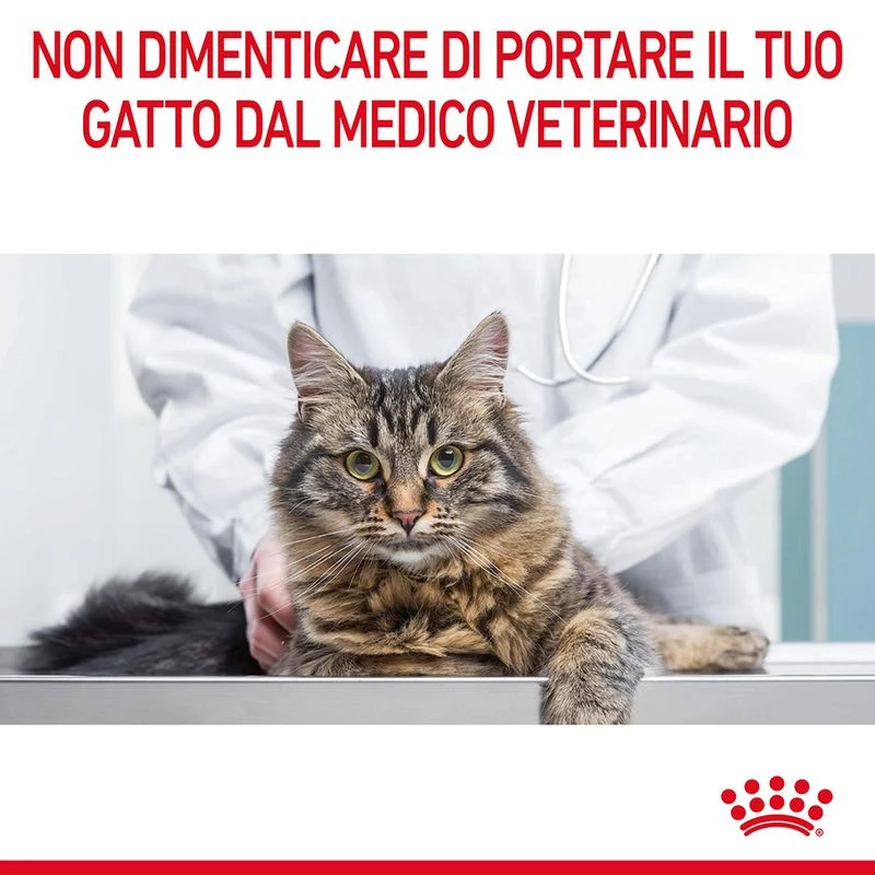 Royal Canin Hairball Care 400g - Crocchette per Gatti
