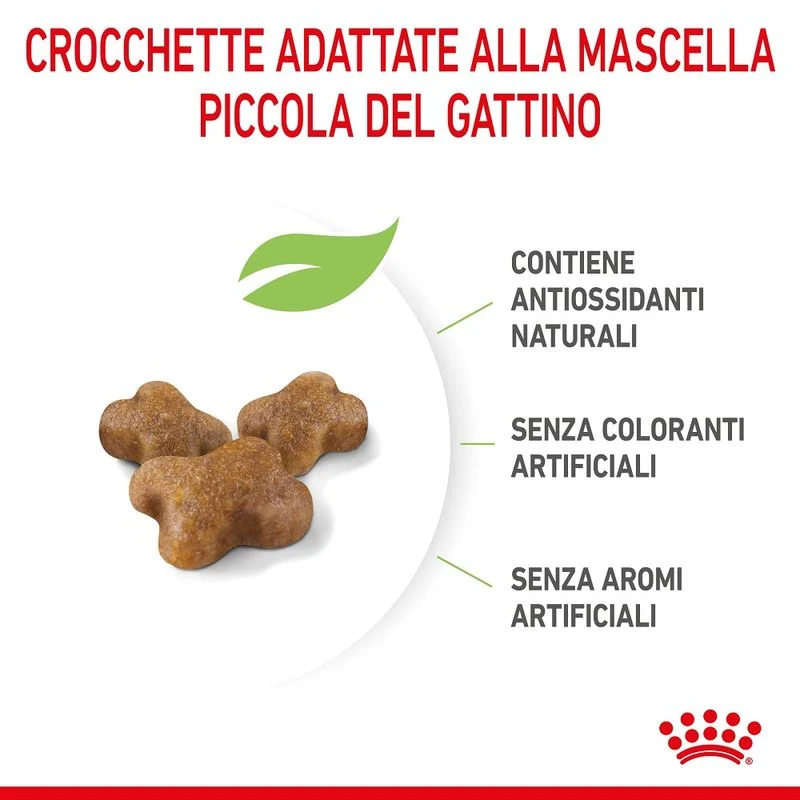 Royal Canin Kitten 4kg - Crocchette per Gatti