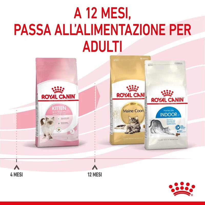 Royal Canin Kitten 4kg - Crocchette per Gatti