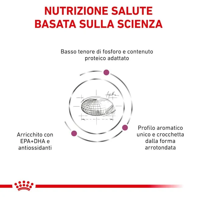 Royal Canin Renal 400g - Crocchette per Gatti