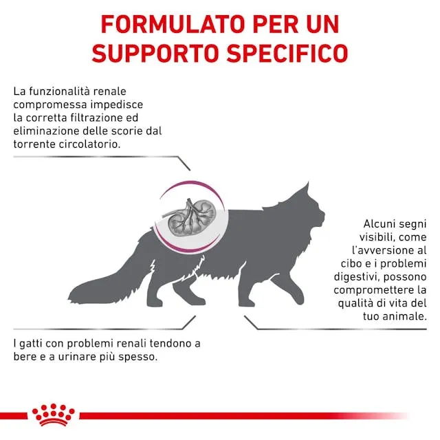 Royal Canin Renal 400g - Crocchette per Gatti
