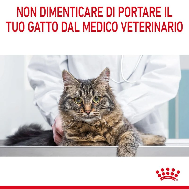 Royal Canin Light Weight Care 1,5kg - Crocchette per Gatti