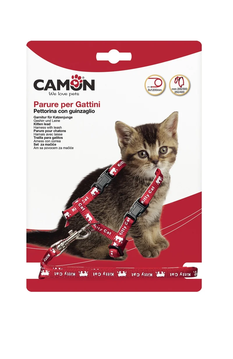 Camon Parure Pettorina e Guinzaglio per Gattini – Colori Assortiti
