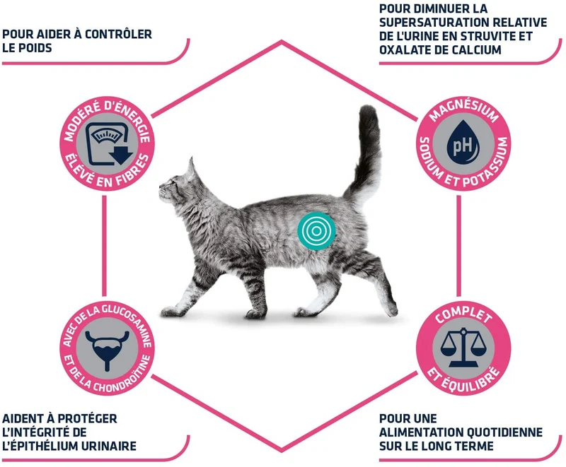Advance Veterinary Diets Urinary Sterilized Low Calorie 1,25kg - Gatto