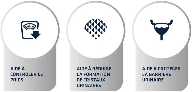 Advance Veterinary Diets Urinary Sterilized Low Calorie 1,25kg - Gatto