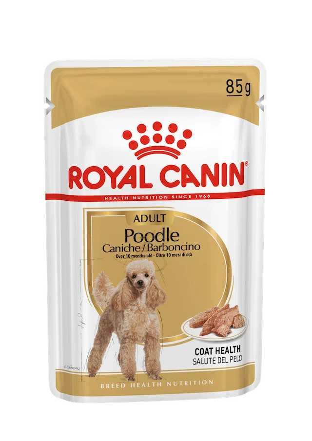 12x85g Royal Canin Barboncino Poodle - Cibo Umido per Cani