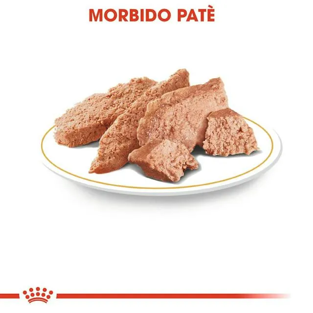 12x85g Royal Canin Barboncino Poodle - Cibo Umido per Cani