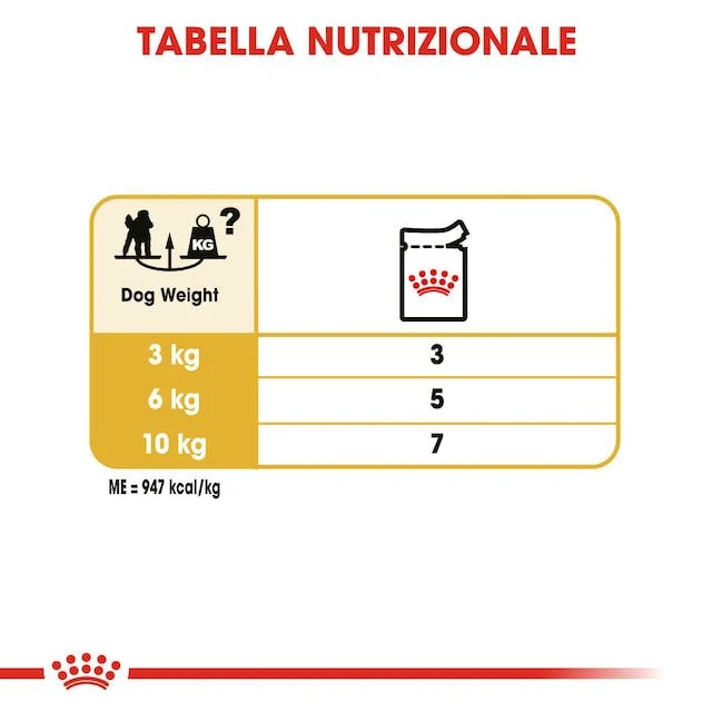 12x85g Royal Canin Barboncino Poodle - Cibo Umido per Cani