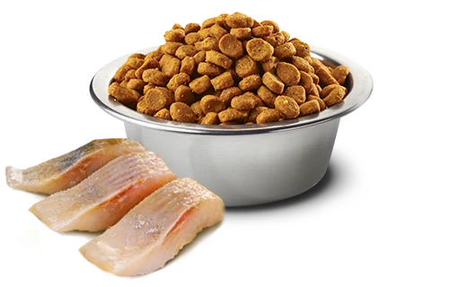 Farmina N&D Ocean Grain Free Neutered Aringa 300g